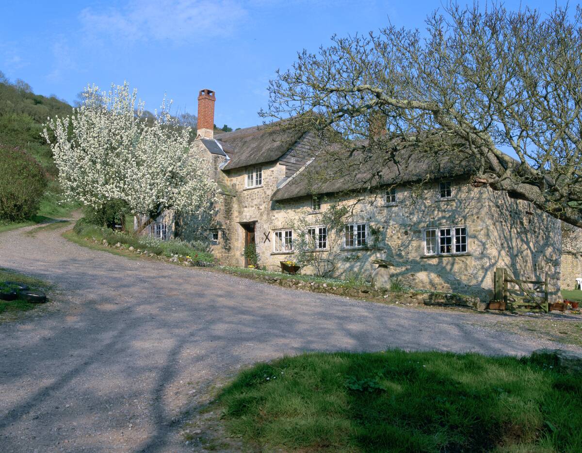 'Great Seaside' house, Branscombe, Devon.
