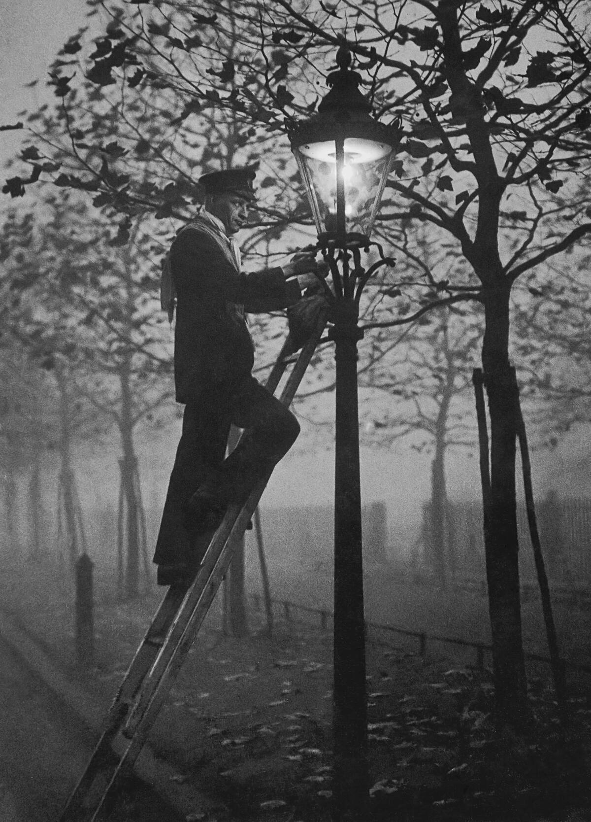 Lamp Lighting In The Fog