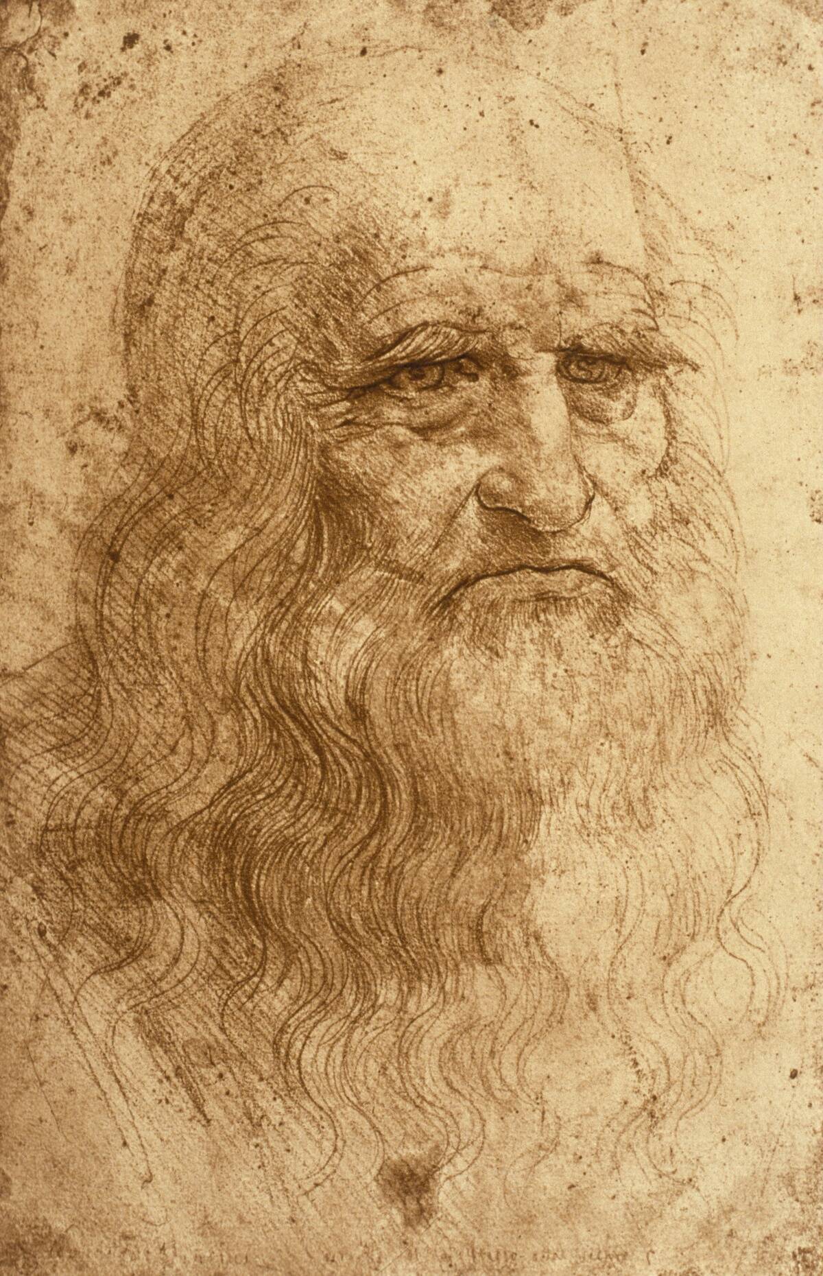 Leonardo da Vinci Leonardo da Vinci *15.04.1452-02.05.1519+ Painter, artist, engineer, scientist, Italy self-portrait - sanguine drawing - around 1512