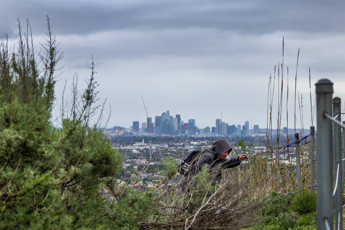 mid intermittent rain showers, hikers bundled up in cold weather clothing explore the Baldwin Hills Scenic Overlook