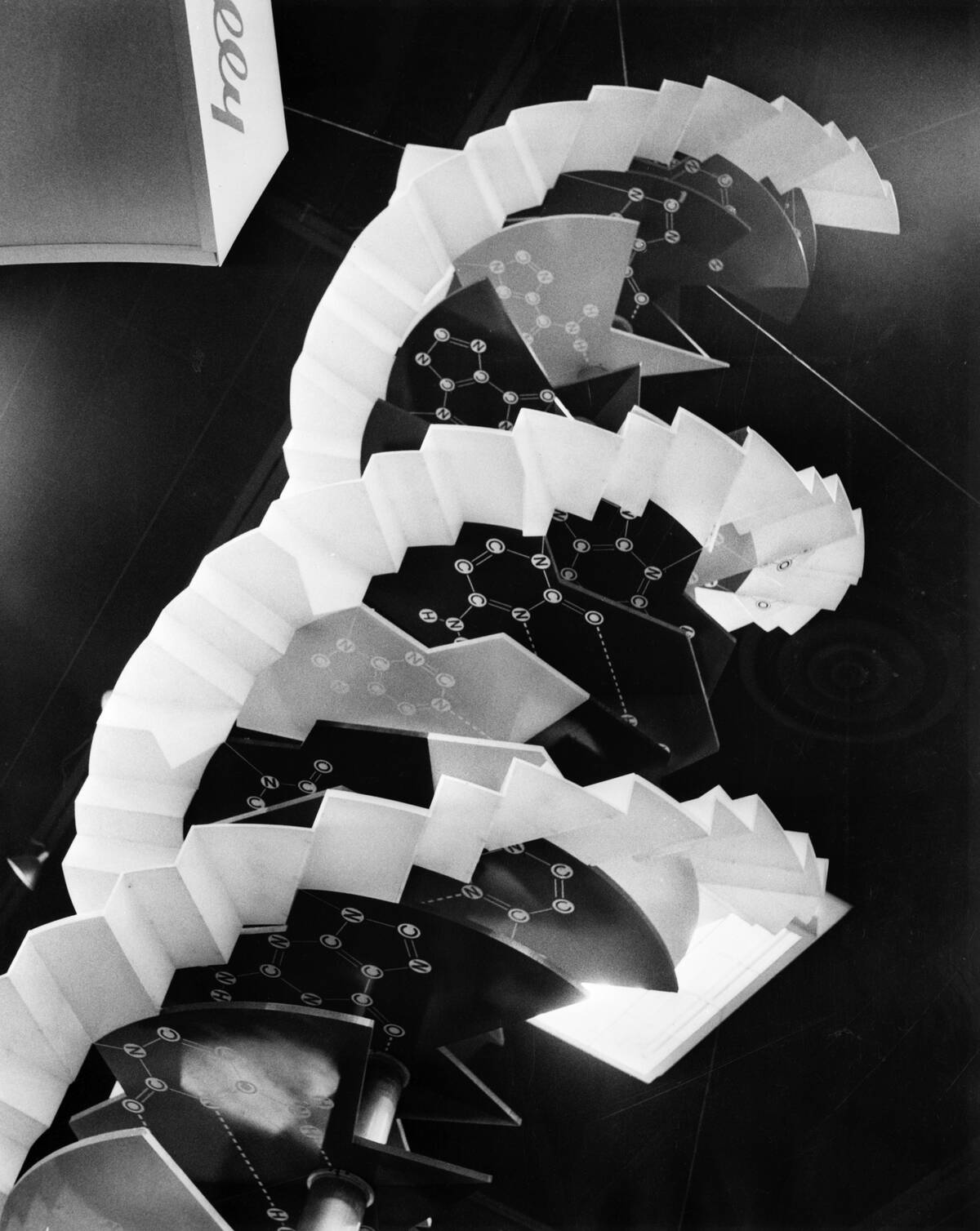 Model Of Dna Molecule.