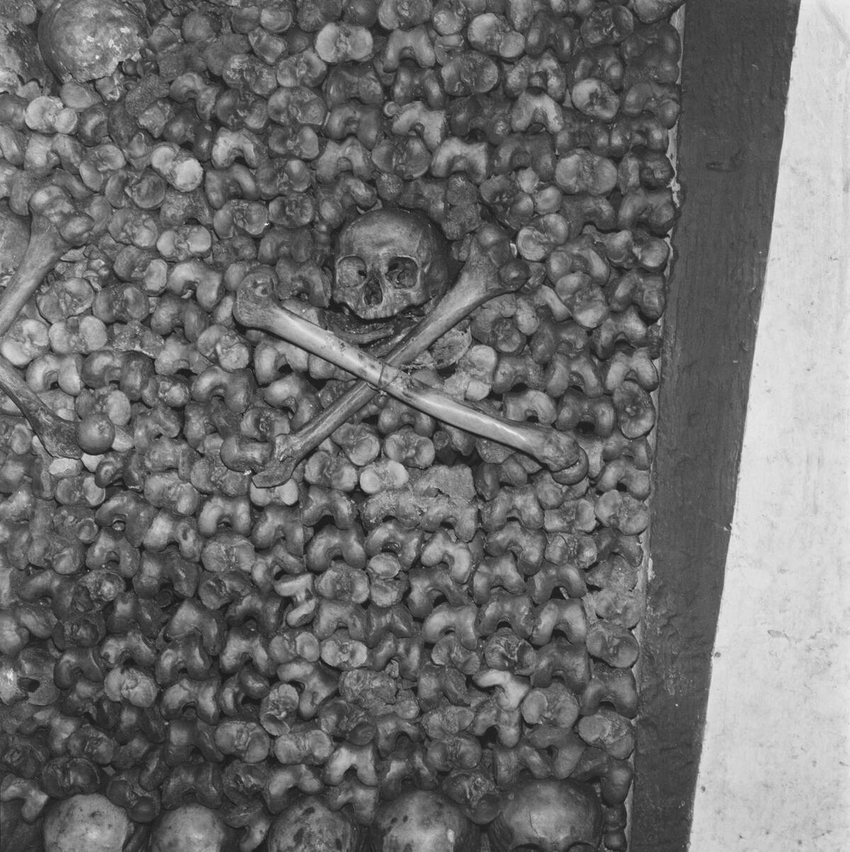 Paris Catacombs