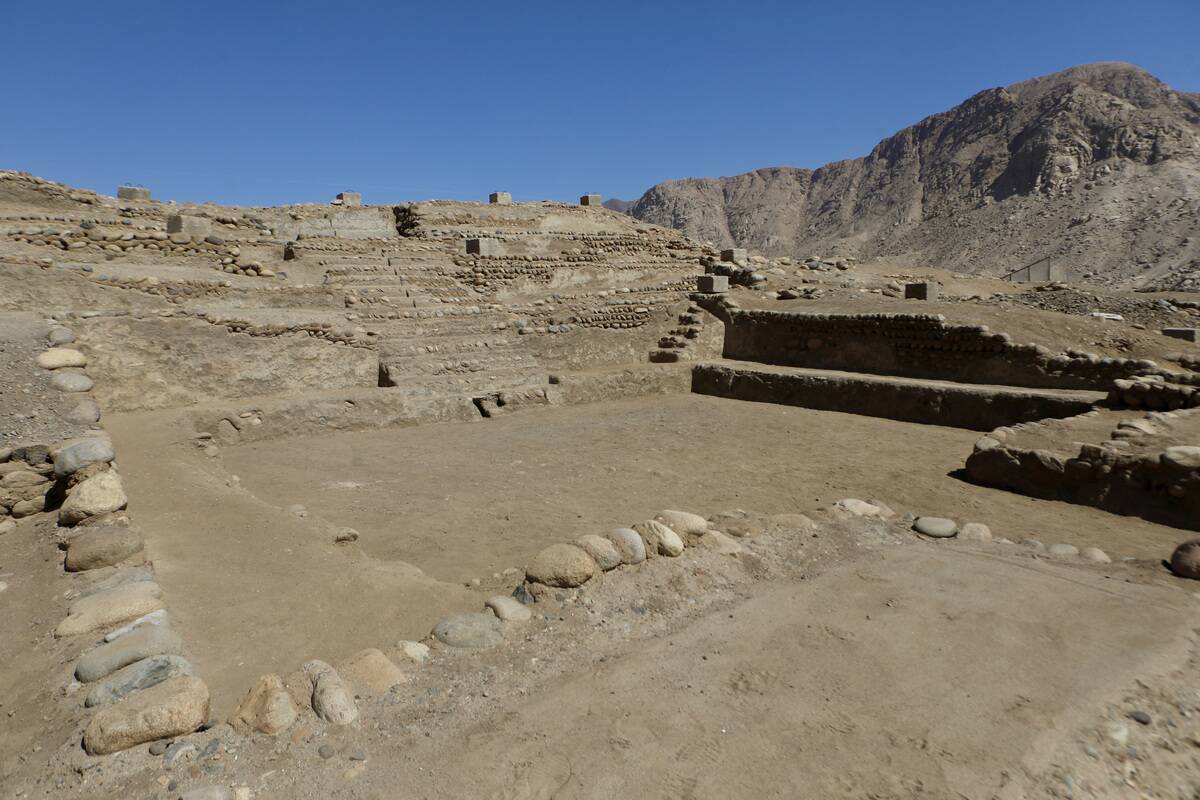 Peruvian archaeologists discover 3,800-year-old city that connected the coast, Andes, and Amazon