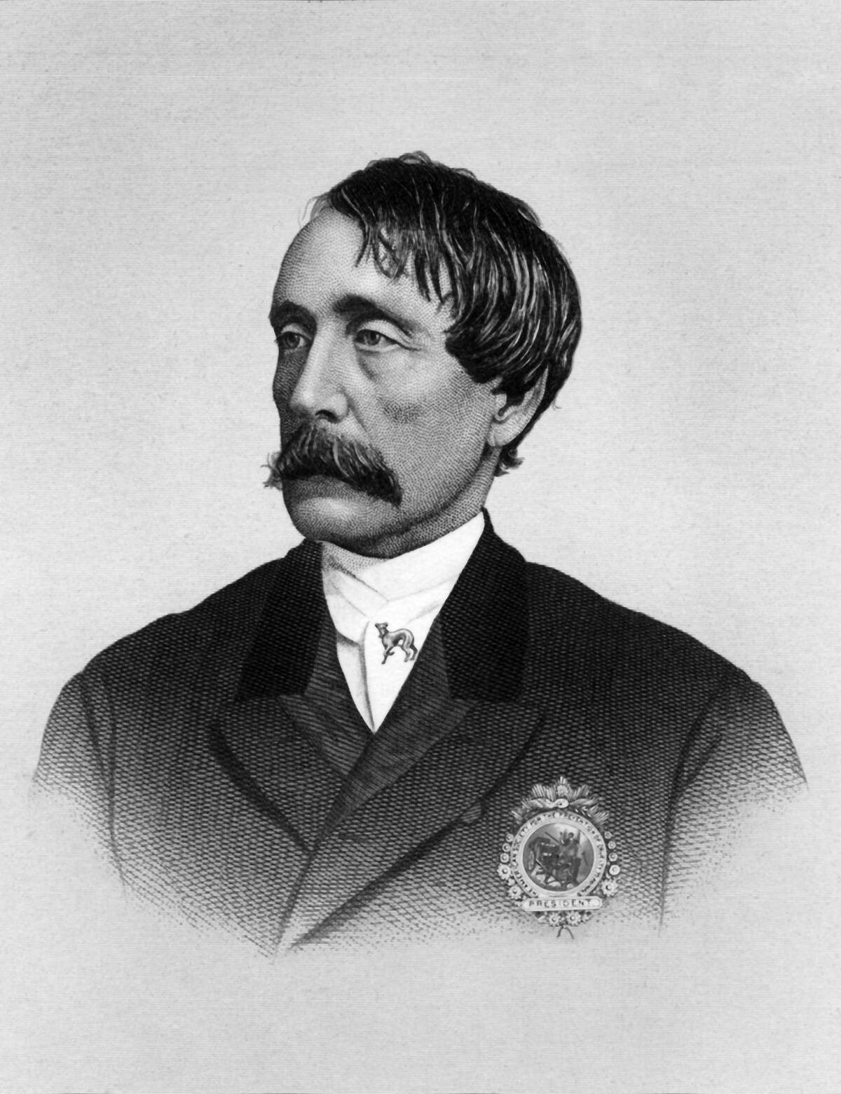 Portrait of Henry Bergh