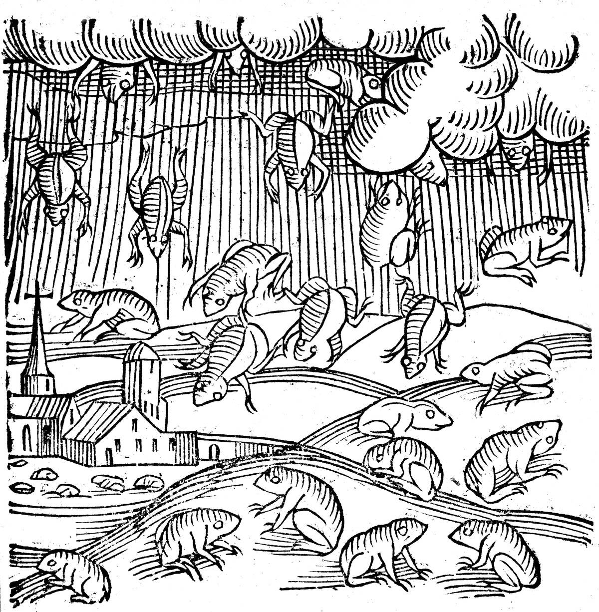 Rain of frogs recorded in 1355 (1557).