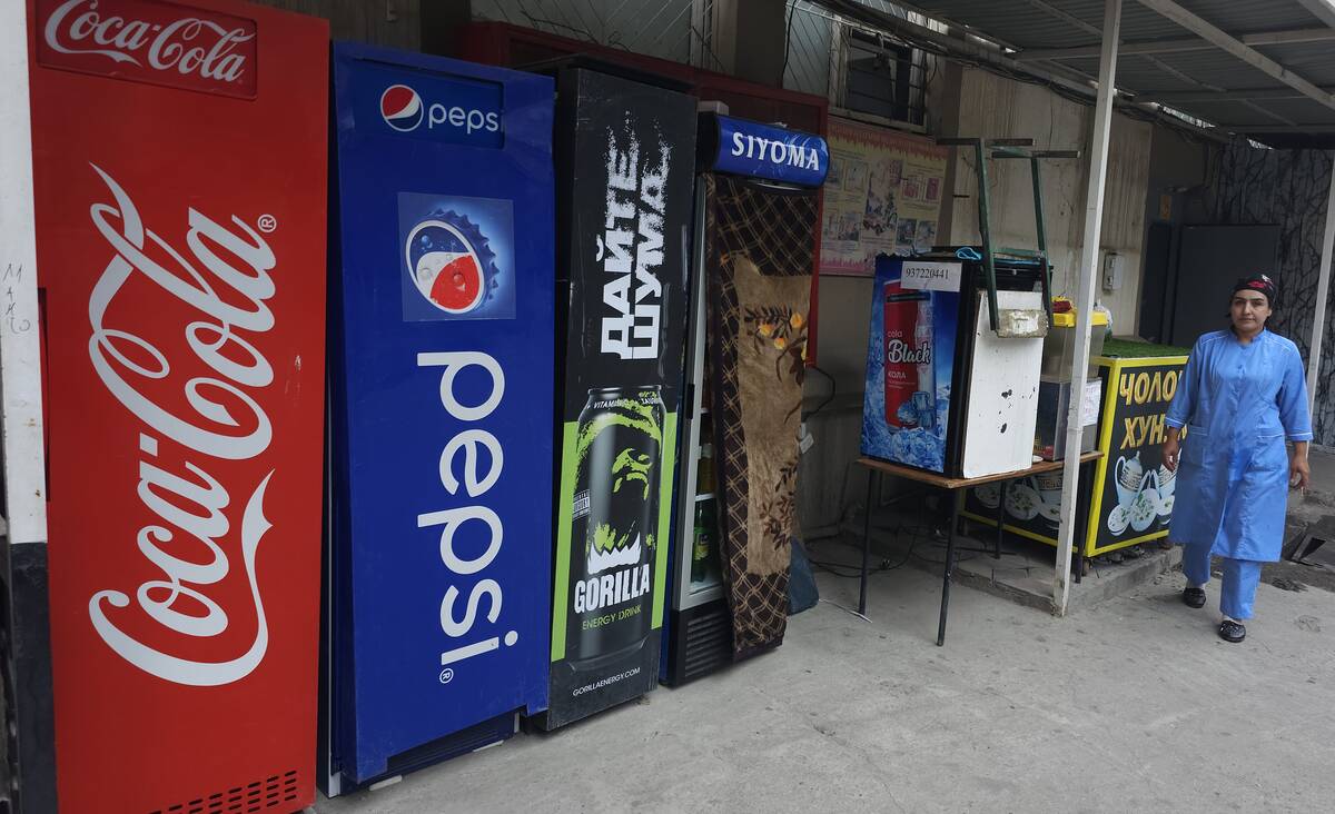 Russian President Putin Participates In Commonwealth Of Independent States Summit In Tajikistan