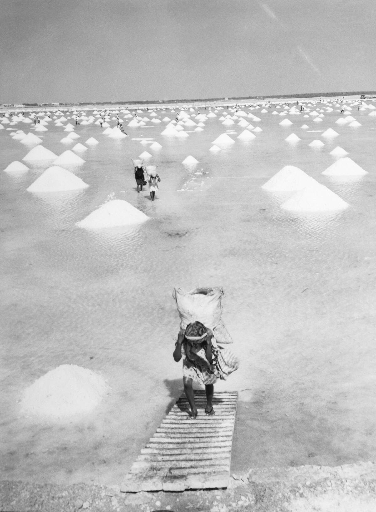 Salt Harvesting in Manaure