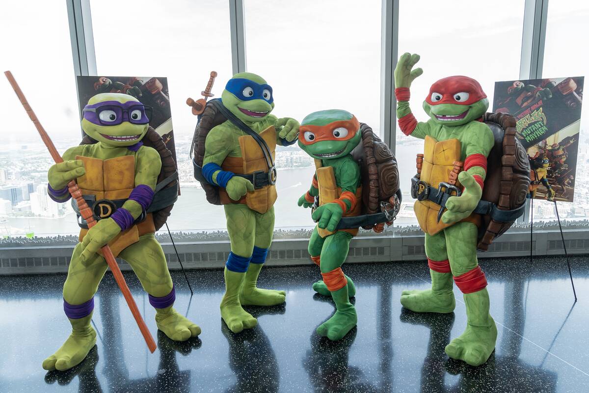 Teenage Mutant Ninja Turtles characters Raphael,...
