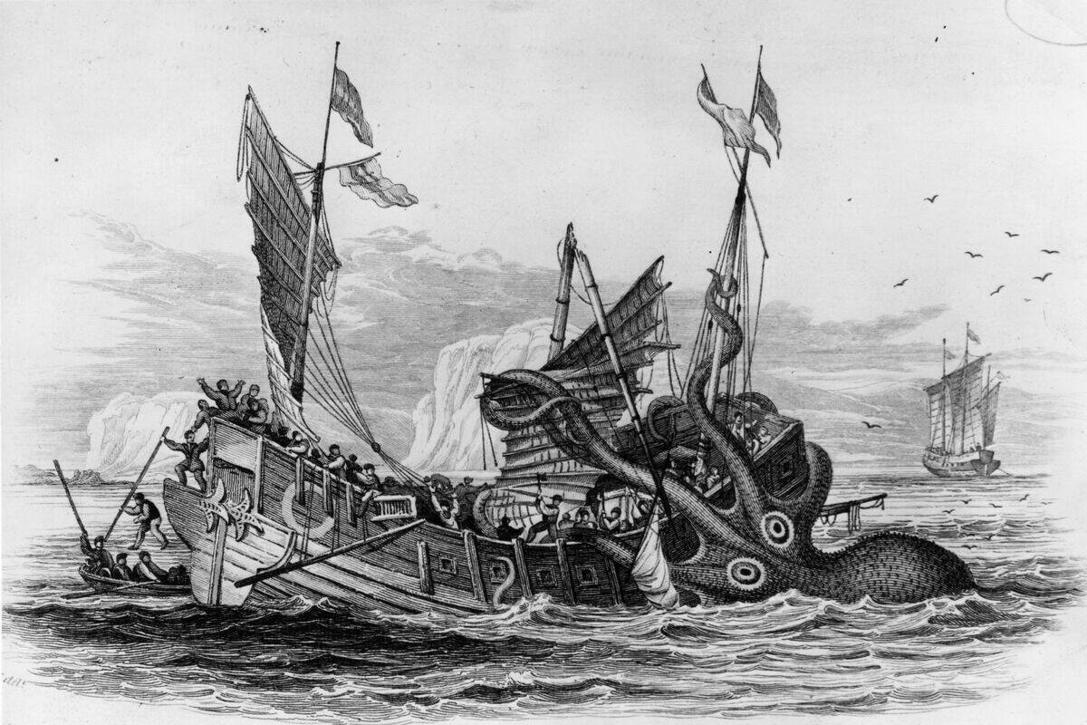 The Kraken