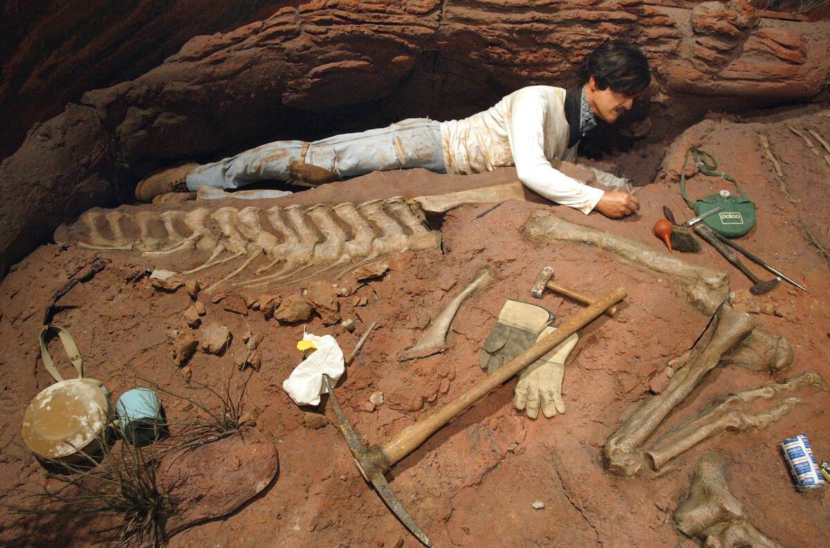 Tiniest Giants: Discovering Dinosaur Eggs Exhibit