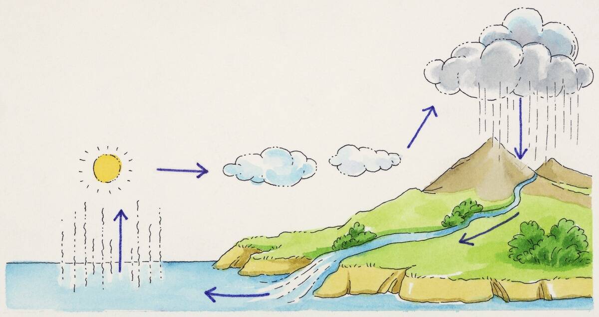 Water cycle diagram, drawing