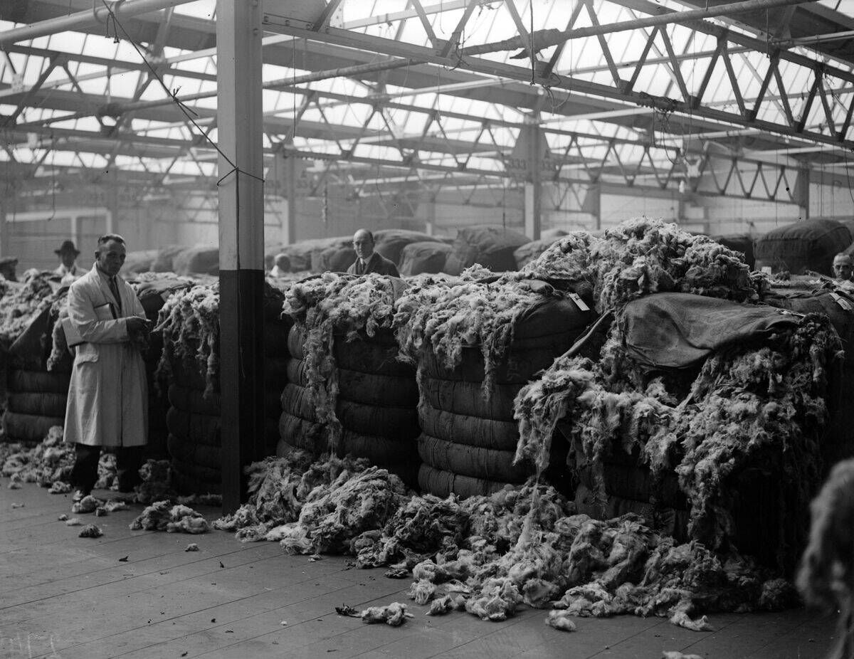 Wool Mountain