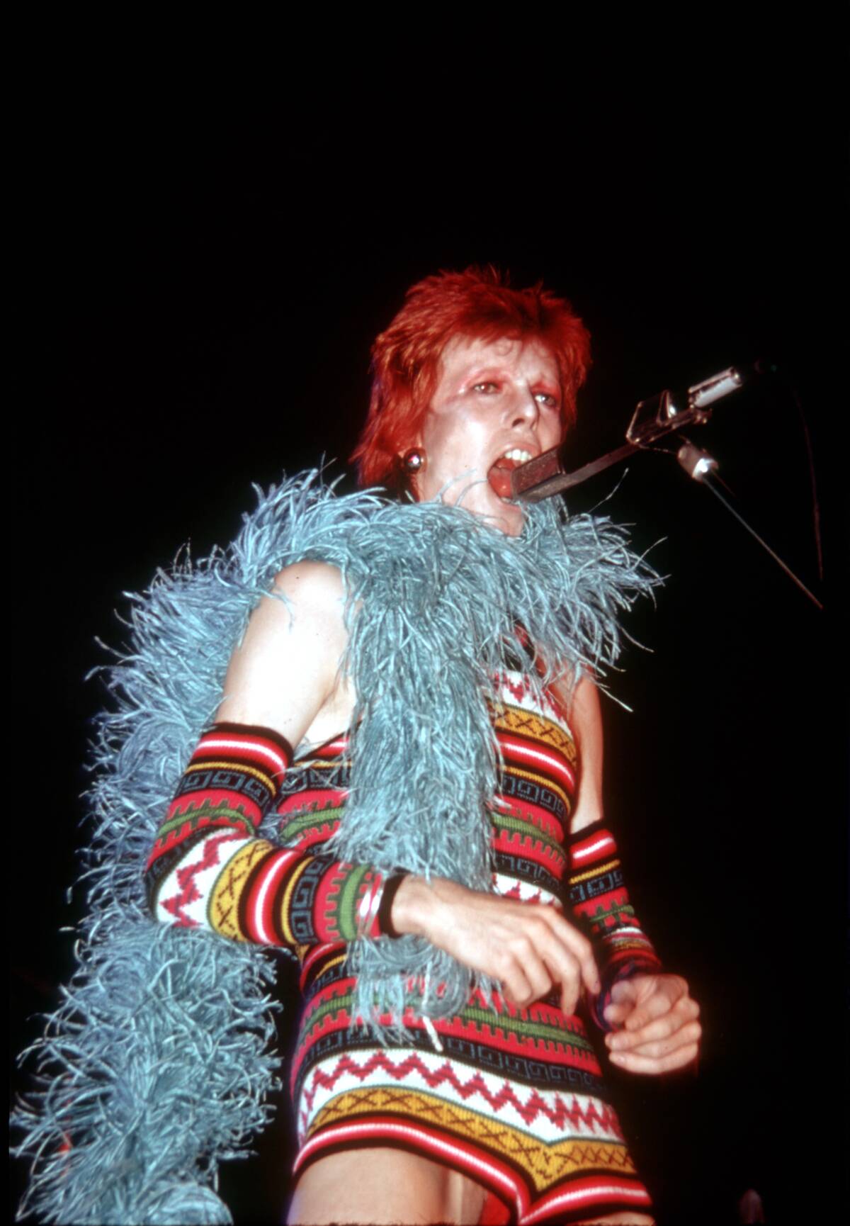 Ziggy Stardust Era Bowie In LA