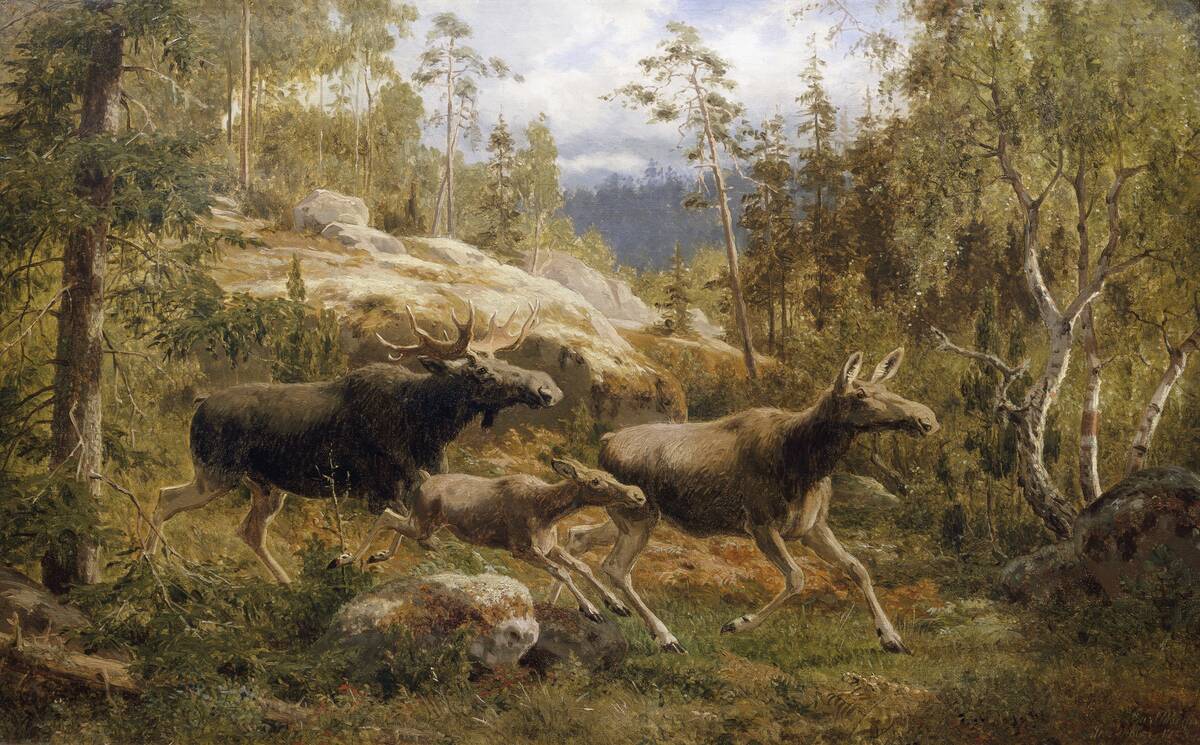A Family of Moose by Carl Henrik Bogh