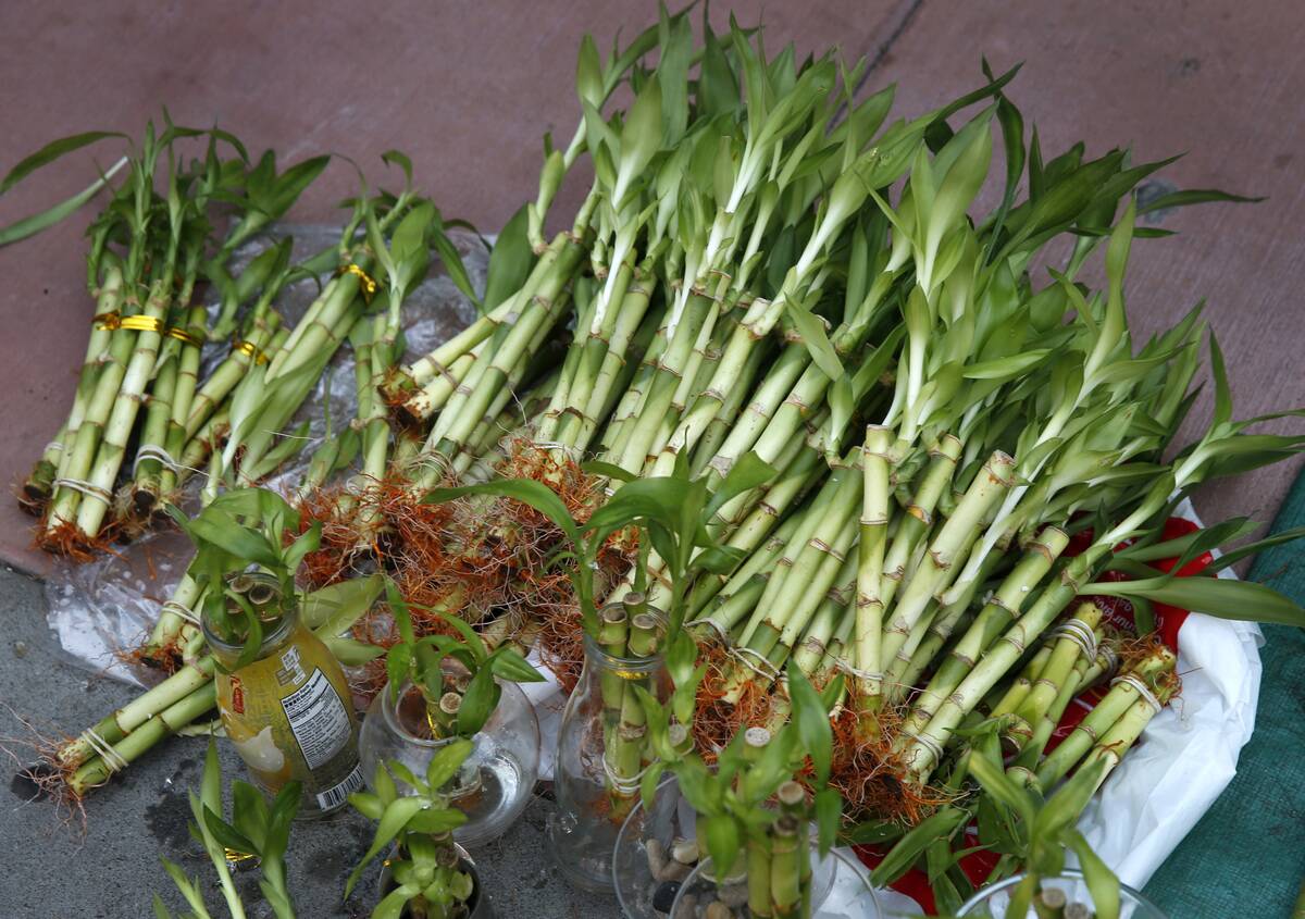 A vendor sells lucky bamboo at the Oakland Chinatown StreetFest in Oakland, Calif. on Saturday, Aug. 24, 2019.