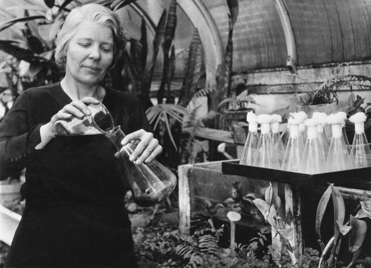 Botanist Working on Plant Life in Laboratory