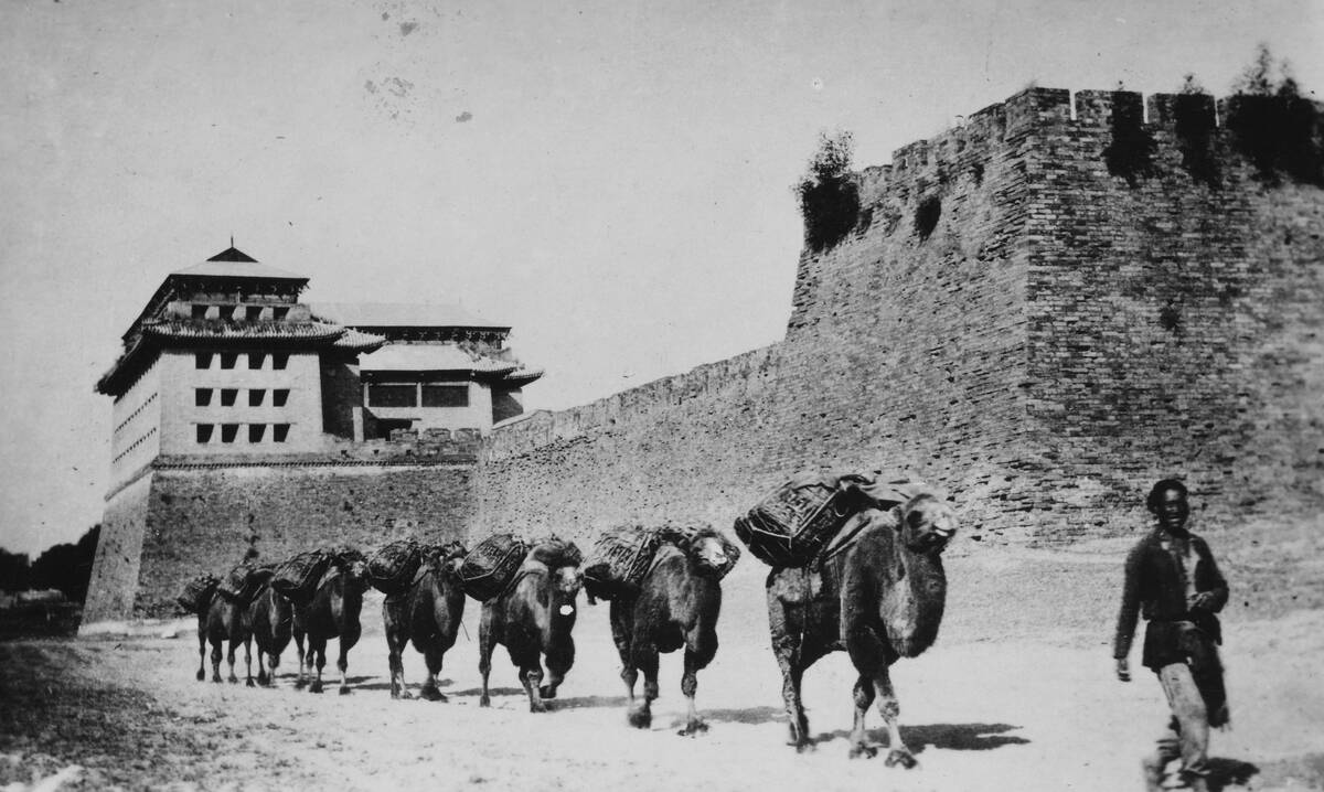 Camel Train Under Fortified Wall