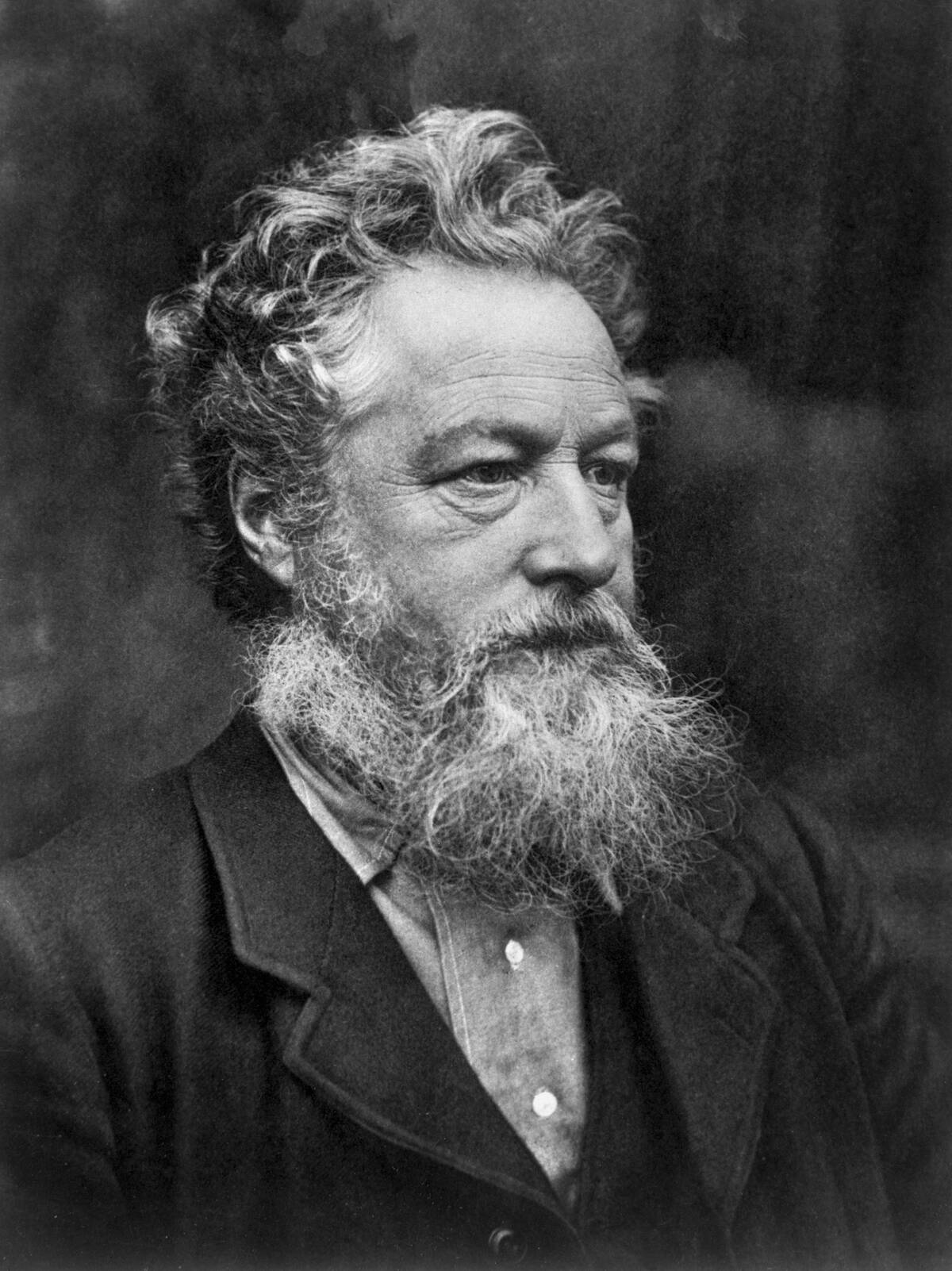 Closeup Of William Morris