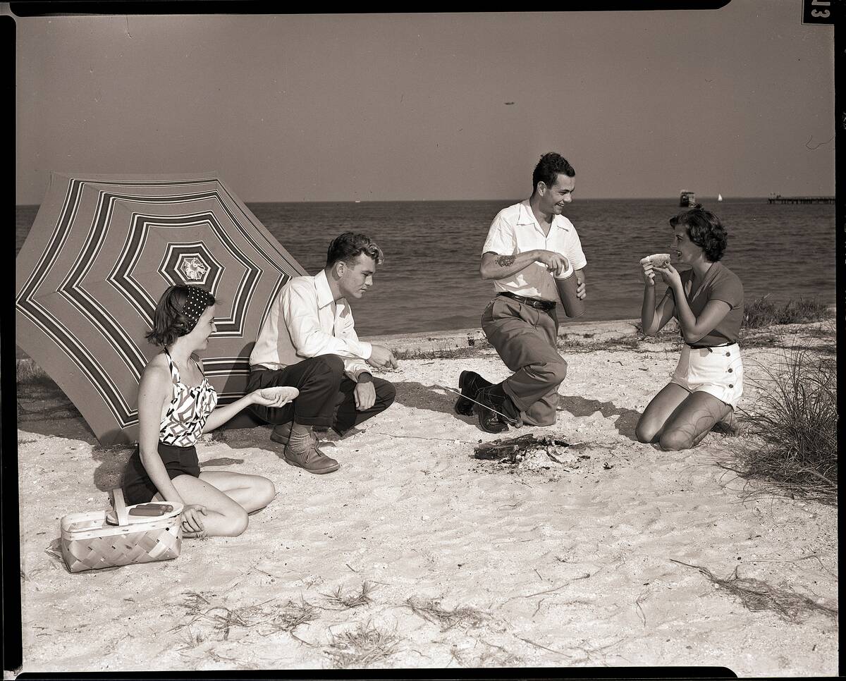 Couples Having Picnic on Beach