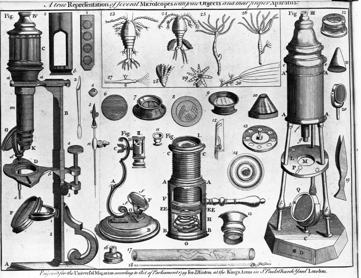 Eighteenth Century English Engraving Assorted Microscopes and Apparatus