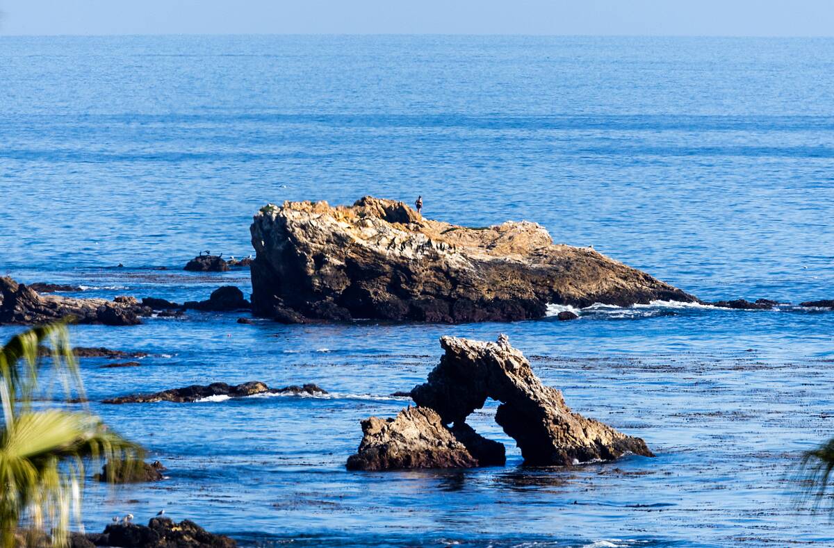 Enjoying a sunny warm day on the first day of spring