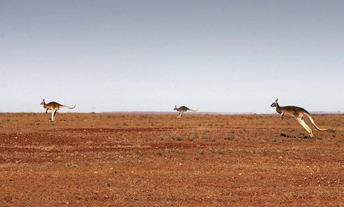 Explore The Australian Outback