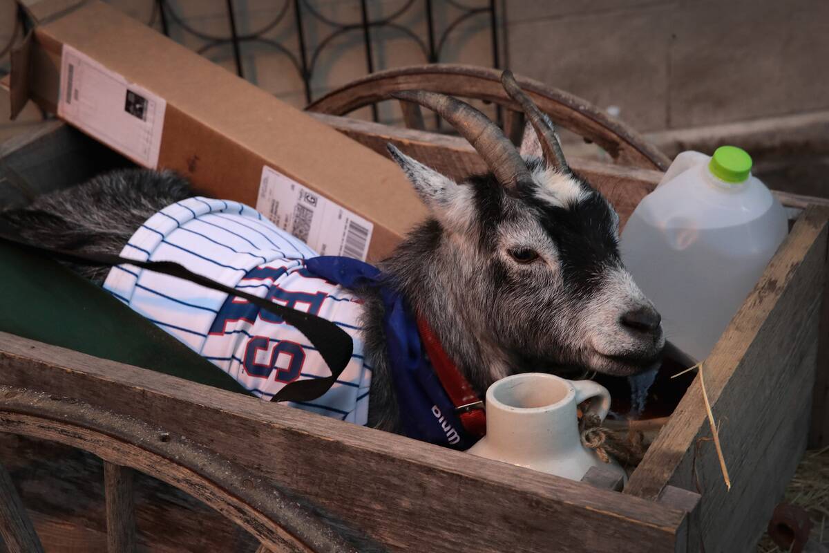 Fans Gather For MLB Champion Chicago Cubs Opening Day At Wrigley Field