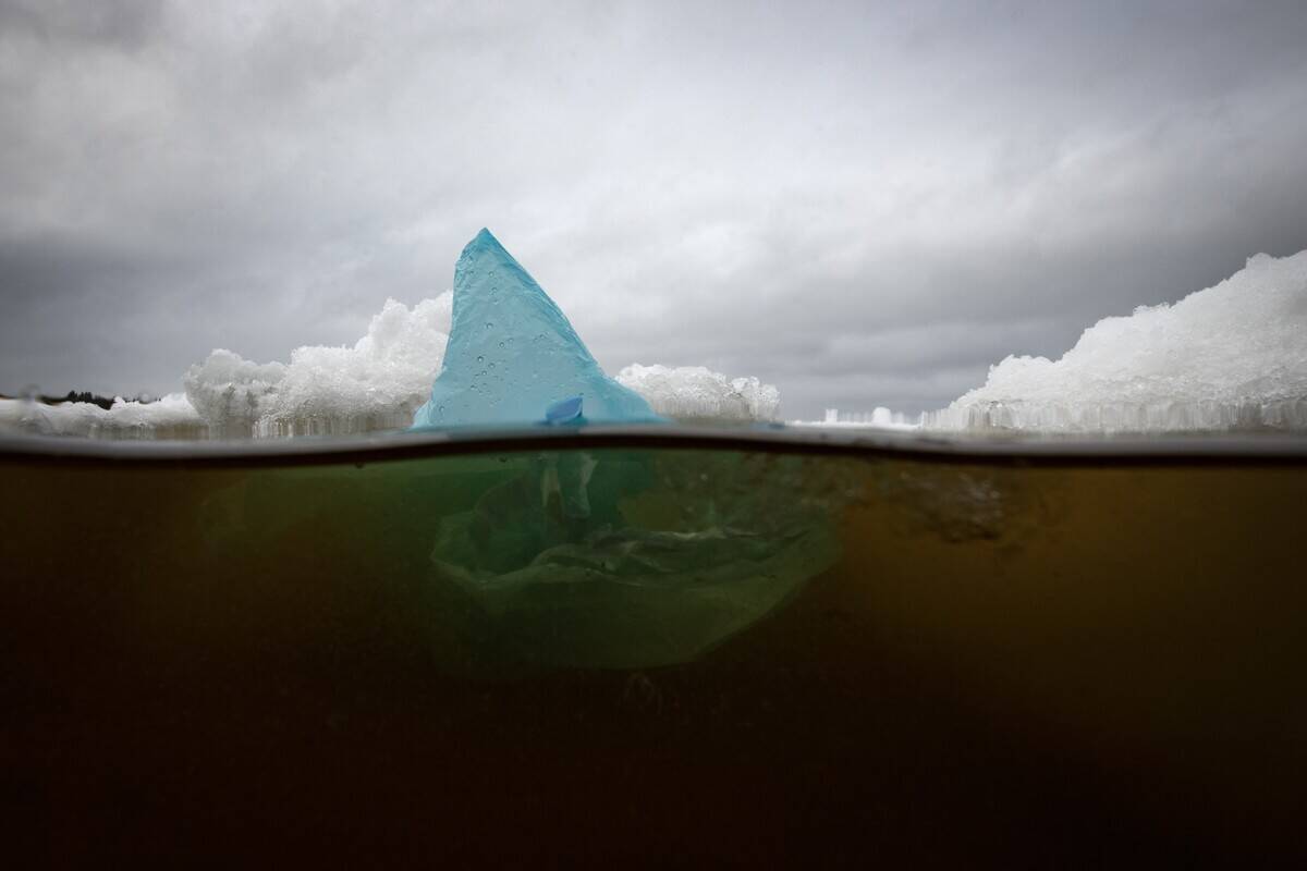 FINLAND-ENVIRONMENT-MARINE LIFE-POLLUTION-PLASTIC