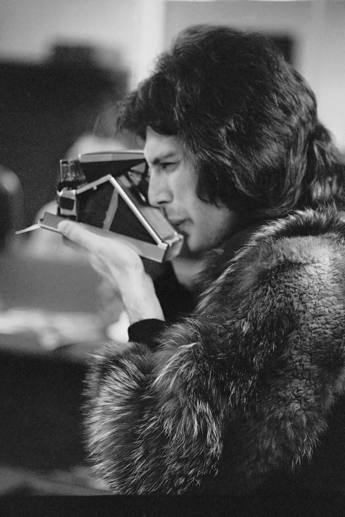 Freddie In Furs