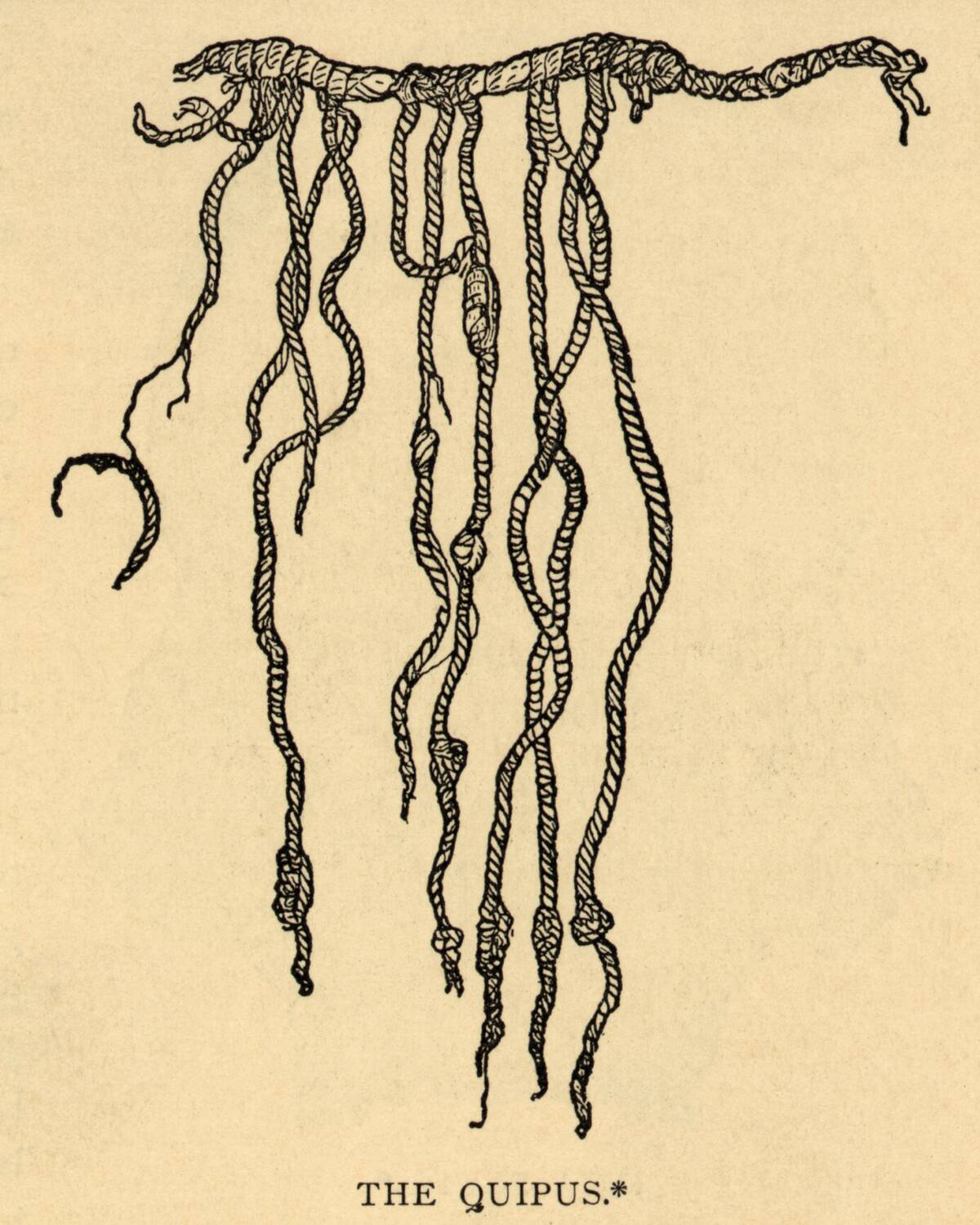 Illustration of a Quipu, a Peruvian Calculating Device