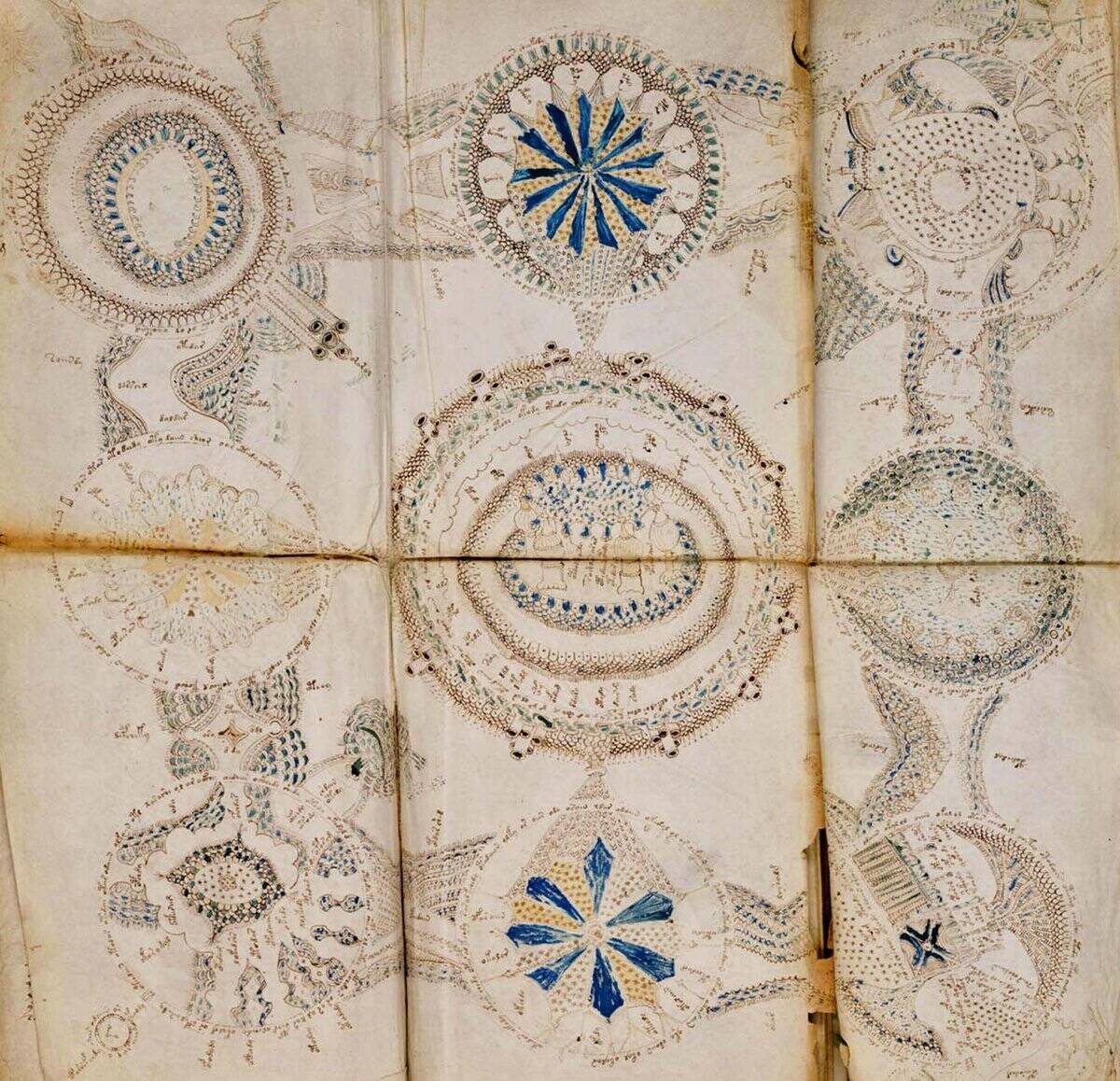 Page from The Voynich Manuscript.