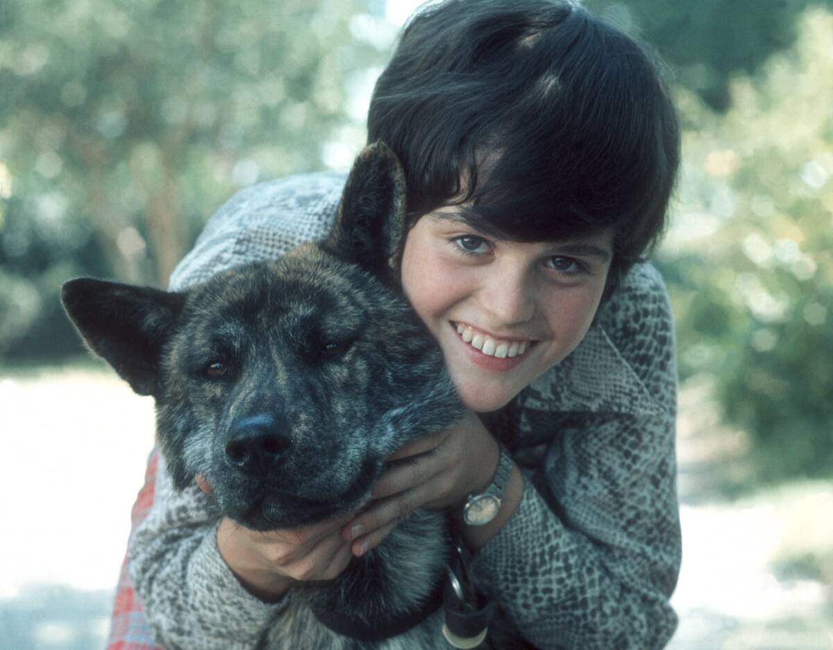 Photo of Donny Osmond