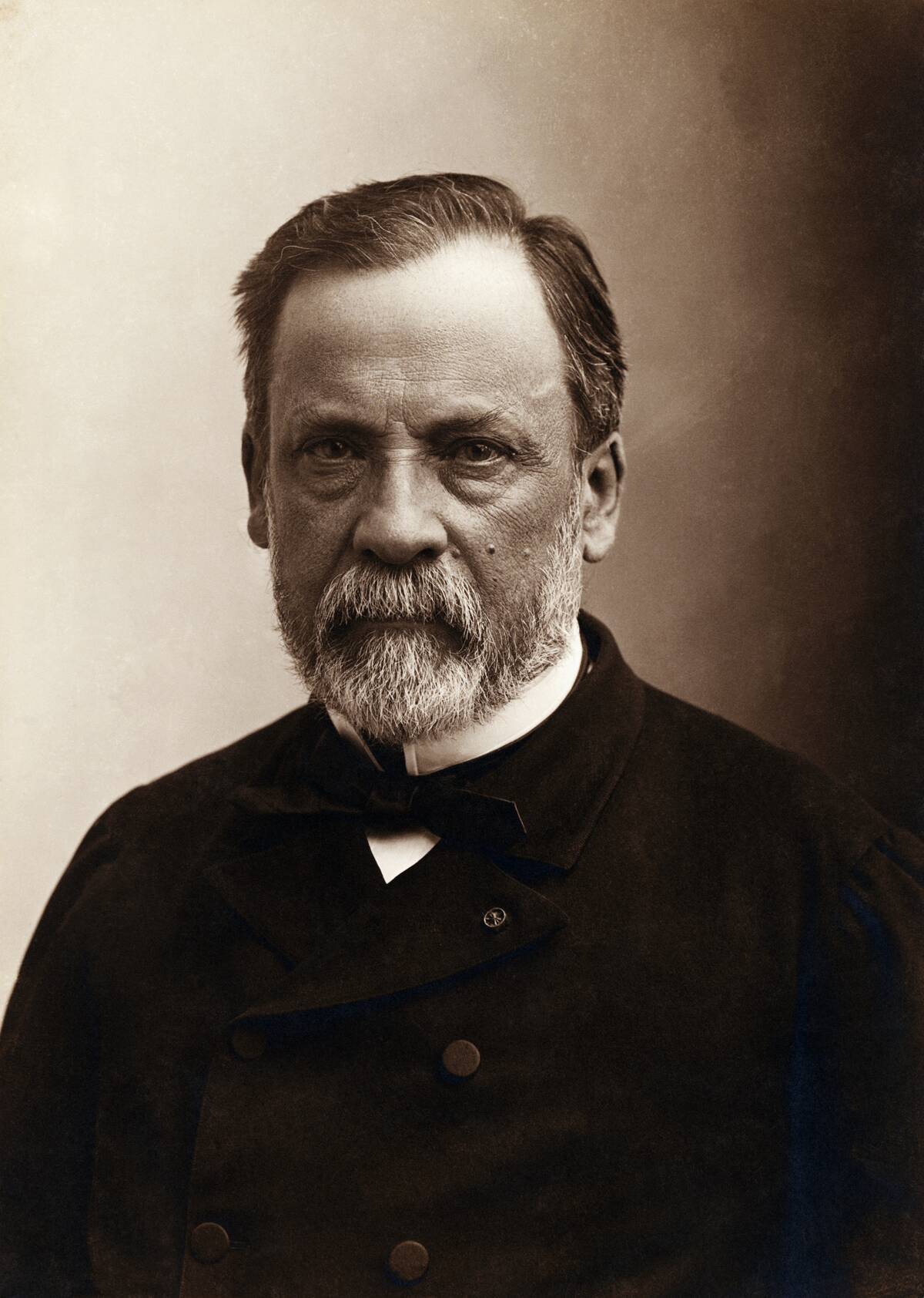 Portrait of Louis Pasteur