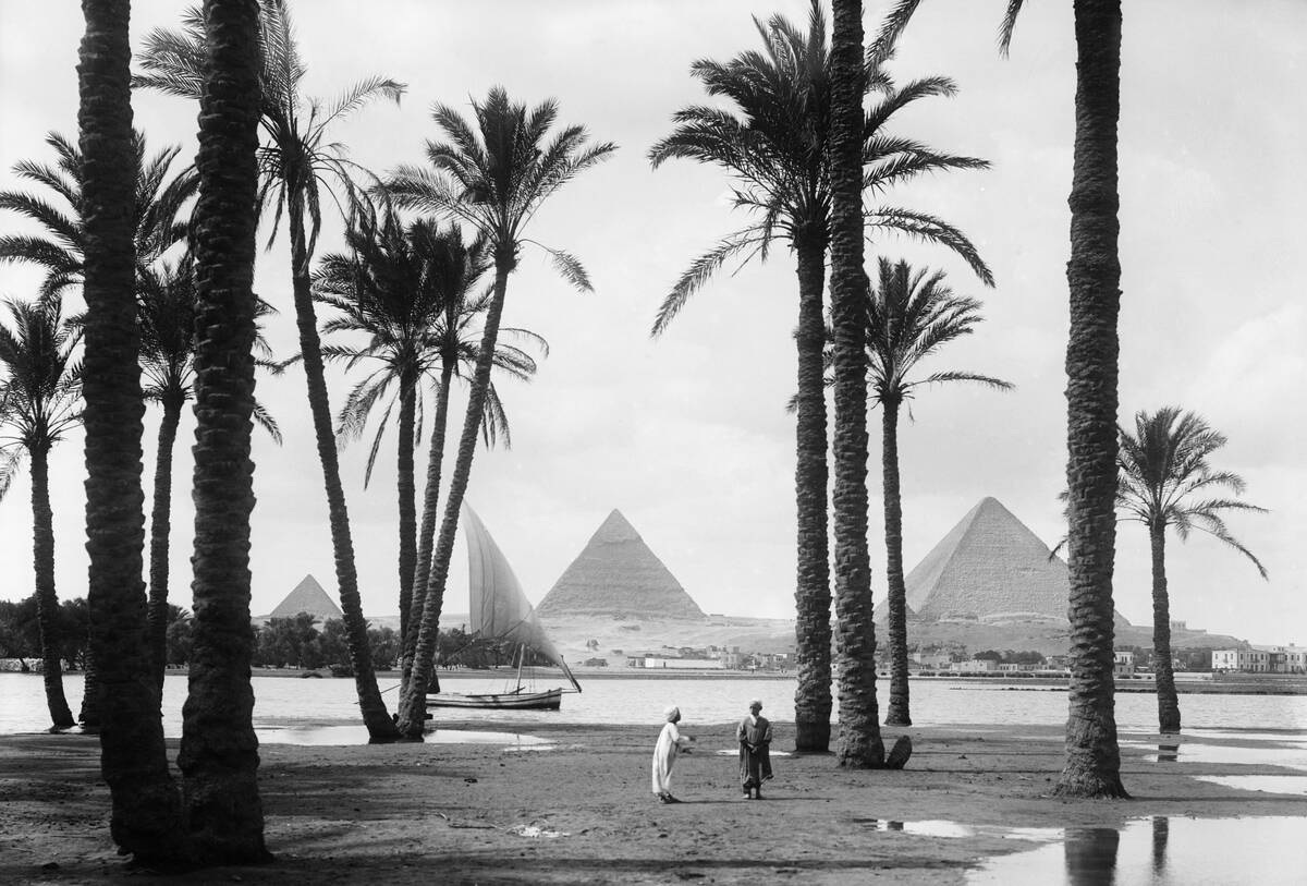 Pyramids and the Nile River
