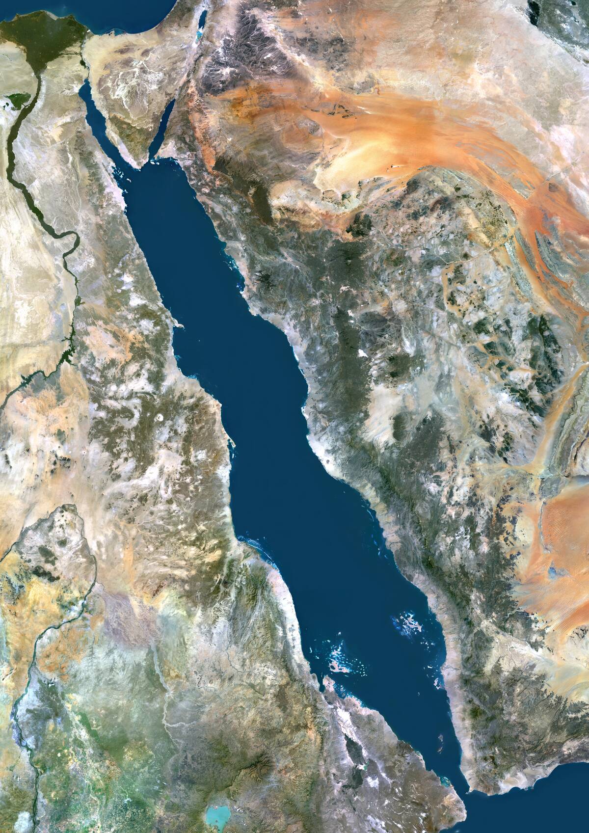 Red Sea, Middle East, True Colour Satellite Image