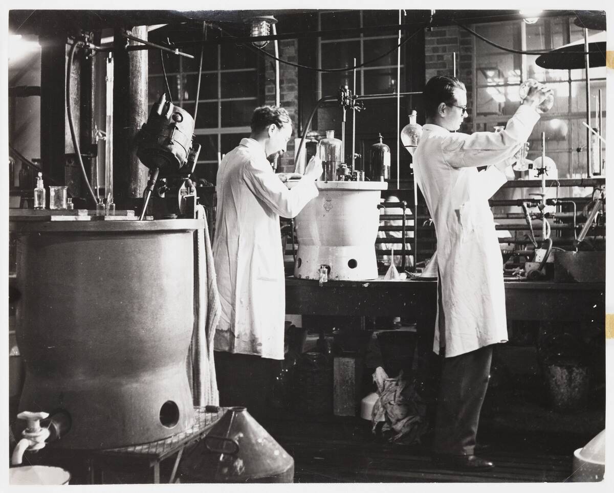 Refining penicillin, 1943.