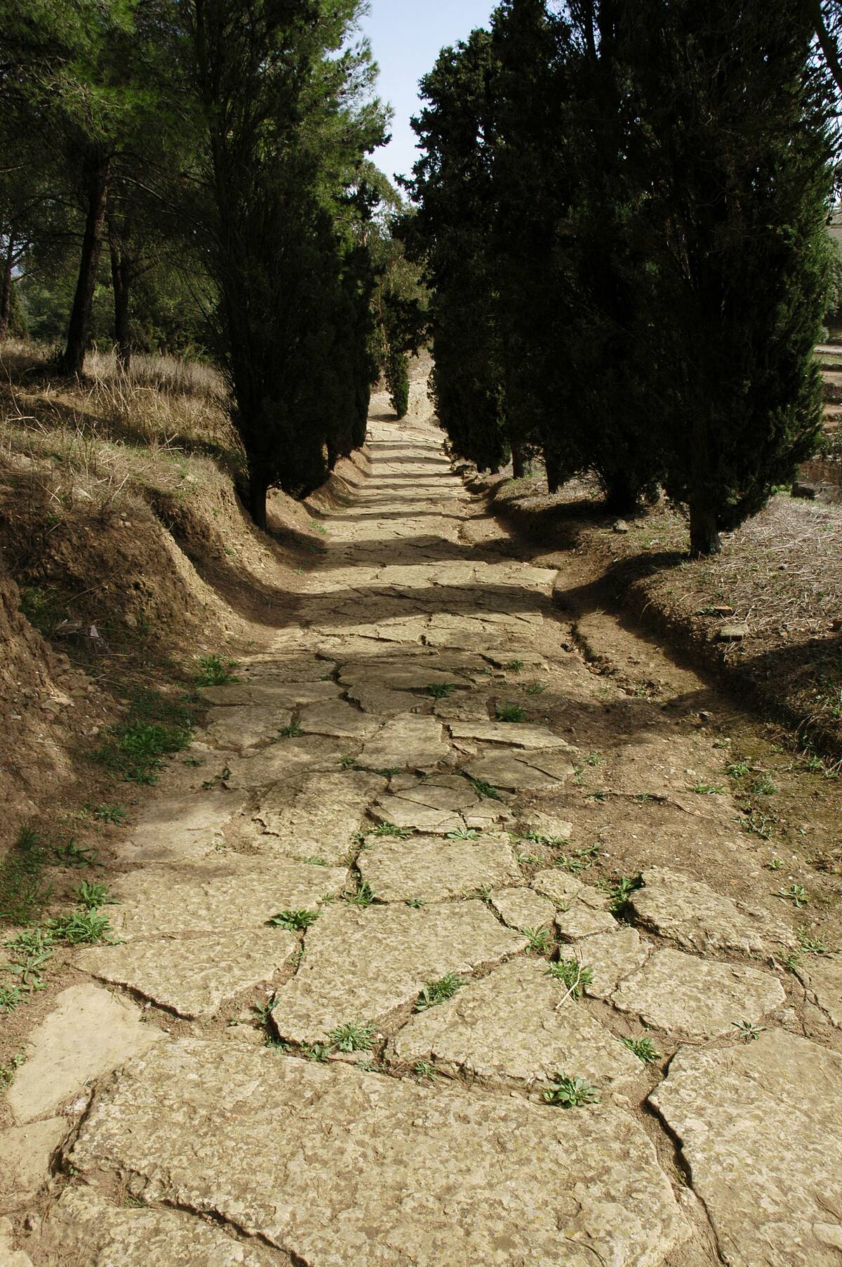 Roman Road