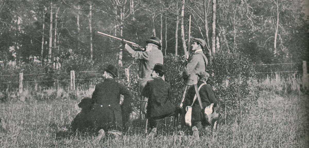 The King Shooting Over Sandringham Preserves