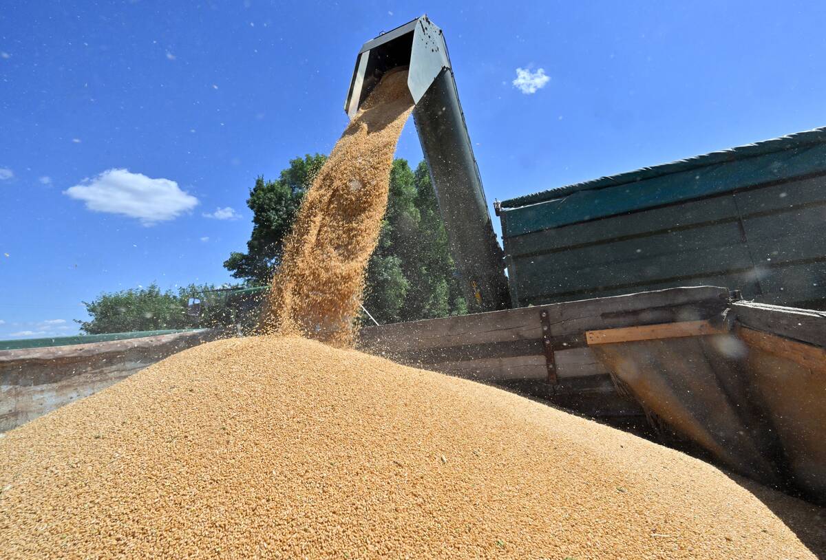 UKRAINE-AGRICULTURE-RUSSIA-CONFLICT-WAR