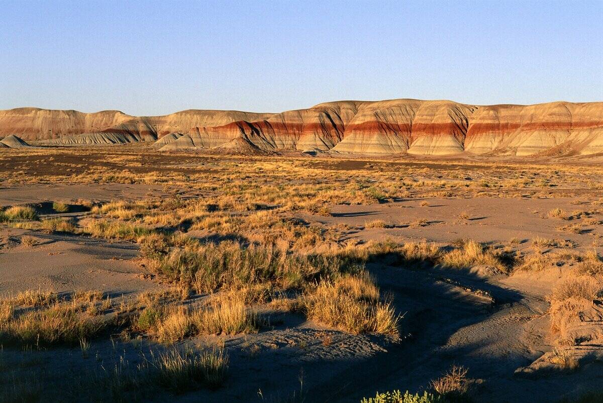 USA, Arizona, Petrified Forest National Park, Blue Mesa in Painted Desert