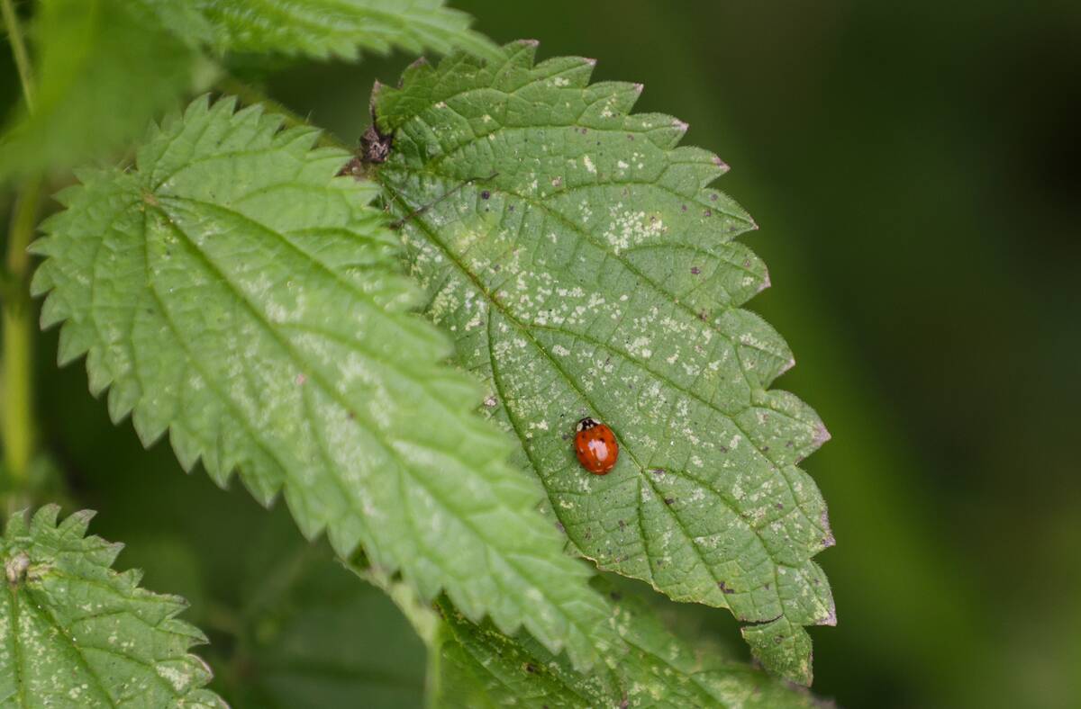 Weather in Baden-Württemberg