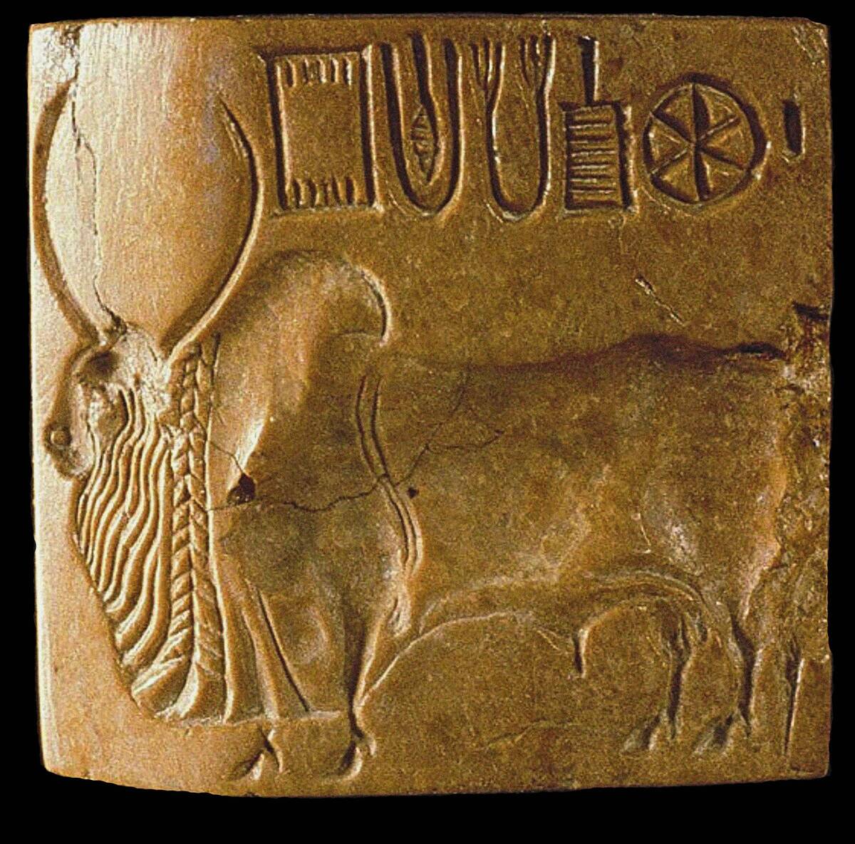Zebu Bull Seal With Indus Script Found At Mohenjo Daro
