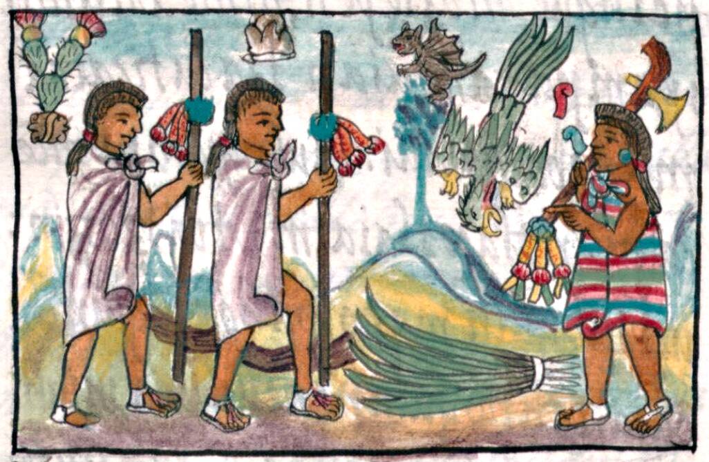 Historia_general_de_las_cosas_de_Nueva_España_vol._2_folio_326v_(cleared_up)