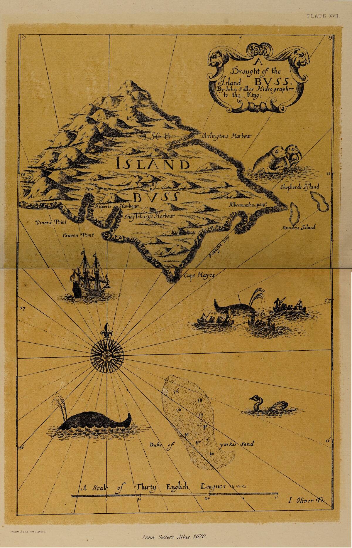 Lucas_1898_Plate_17_Island_Buss_Seller_1670_annalsofvoyageso00luca_0312