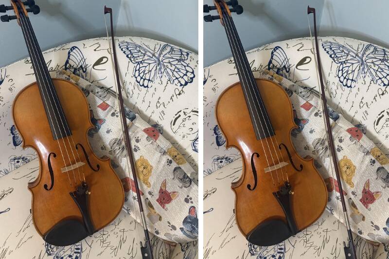 Viola2
