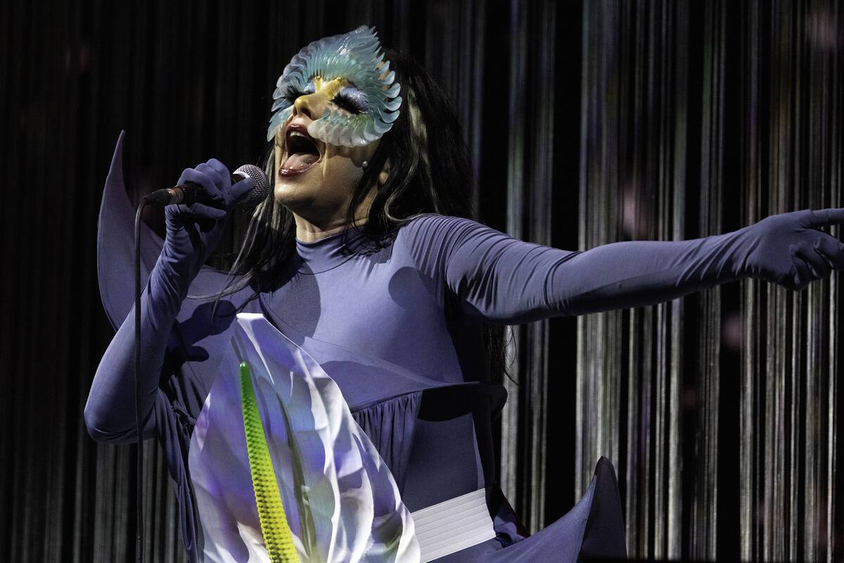 Bjork Concert In Paris