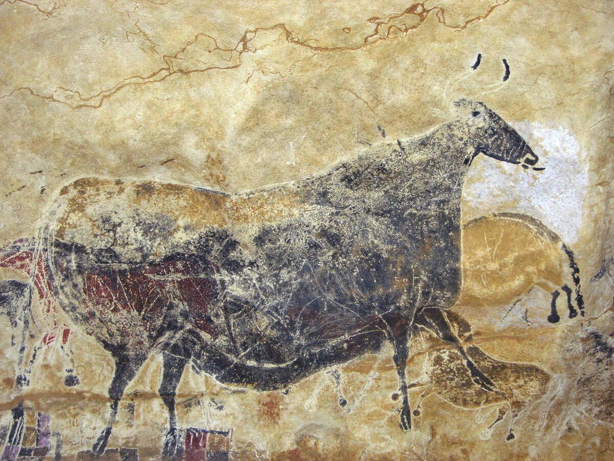 Black cow cave painting at Lascaux