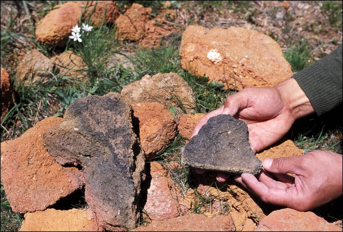 British archeologist Geoffrey Summers has spent past 10 years drawing map of lost city of Pteria in Turkey in June, 2002.