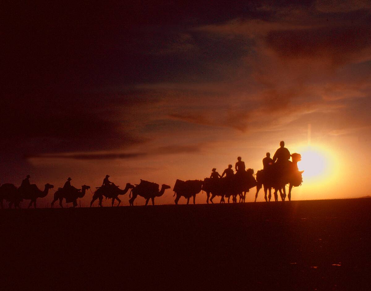 Camel Caravan