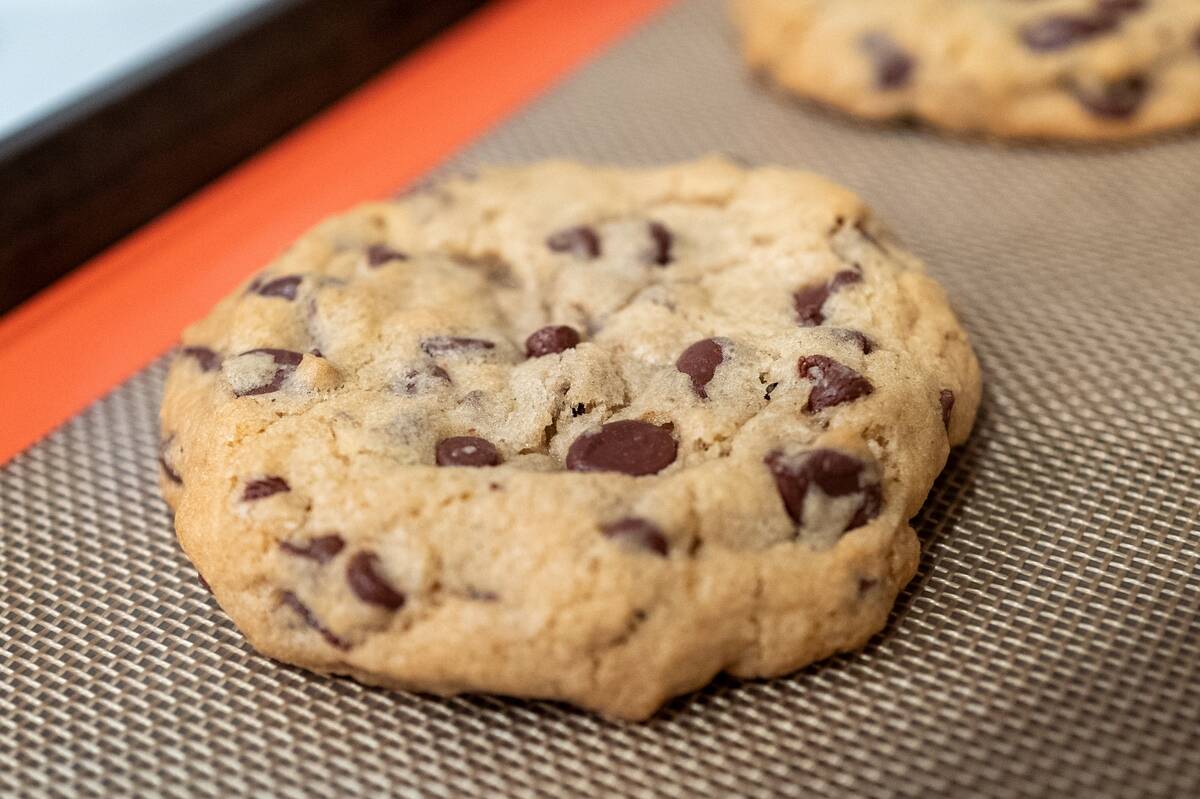 Chocolate Chip Cookie